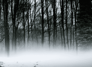 Soția a privit crima: 7,5 ani închisoare