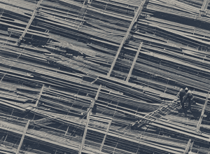 Taxele lui Trump: Lovitură pentru Germania