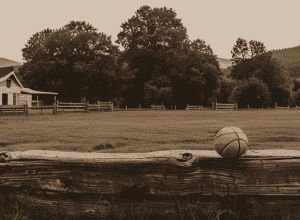 HALLEluja: Dončić devine fermier