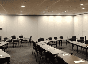 Incident șoc în Landtagul NRW: Angajat AfD s-a prăbușit