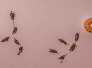 Mirosul de prăjituri crește dorința sexuală?