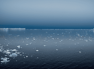 Senzațional: Lume subacvatică ascunsă în Antarctica