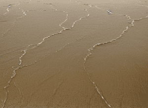 Mister în Marea Baltică: Apă clocotindă și miros