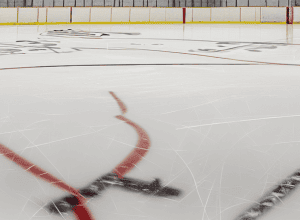 Eisbären înving Mannheim în semifinala DEL