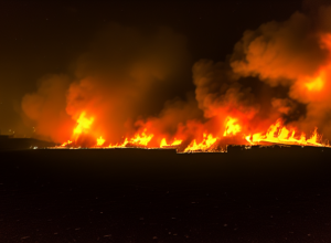 Incendiu masiv în Malaezia: 100 răniți