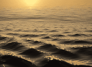 Michael Hartl: Cum i-a salvat viața patul comun