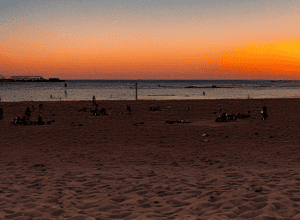 Jürgen Drews, 80 ani: Povestea «Regelui din Mallorca»