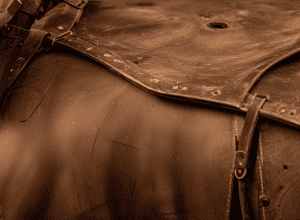 Descoperire Șocantă: Droguri Ascunse în Șeile de Cal!