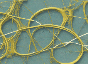 Conflict la Jena: Fost antrenor critică fizioterapeutul