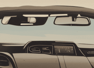 Erfurt: Papagalul a dat de gol un șofer drogat