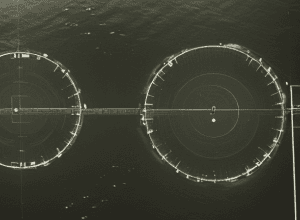 Stuttgart - Leipzig: Semifinală Cupă la TV Gratuit