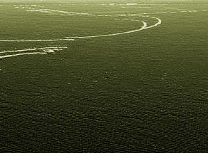 BVB, emoții pentru 3 staruri cu Freiburg