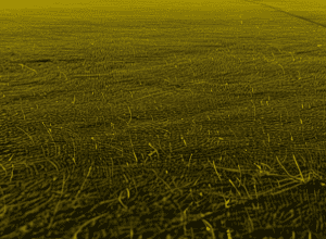 FCN: Tzimas incert vs HSV. Șansa lui Schleimer?