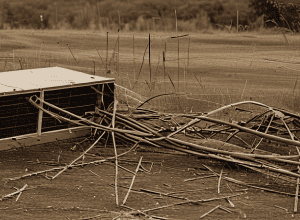 Furt eșuat în parc solar: Pagube de 100.000€