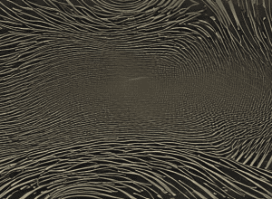 RT, păcălit de farsa navei Prințului Andrew