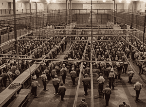 Tată deportat eronat în închisoarea groazei