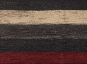 Steagul Germaniei în școli: Simbol controversat?