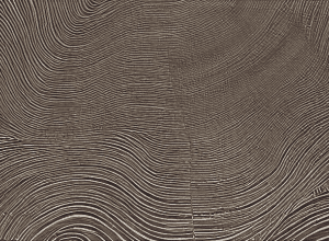 Eminem este bunic! Fiica sa a născut un băiețel