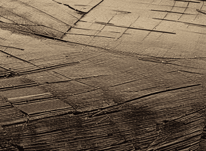 Danone închide fabrica din Bavaria: 230 șomeri