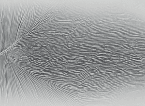 Donarea corpului după moarte: Ce implică?