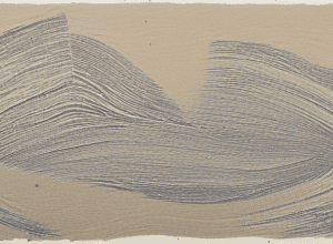 Iluzie virală: Chipul lui Iisus ascuns în poză