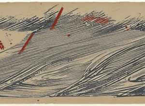 Musk îl contrazice pe Trump: Zero tarife SUA-Europa?