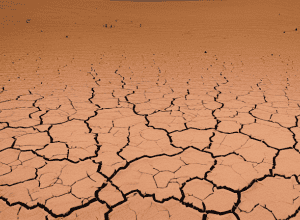 Secetă extremă în Germania: Nabu cere economisirea apei