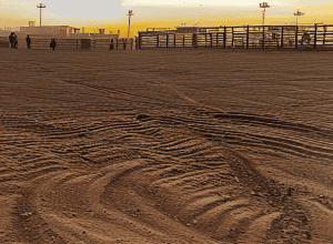 Dramă la rodeo: Star (24) ucis de taur în Texas