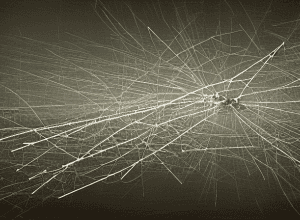 Ancheta Israel: 14 paramedici uciși în Gaza