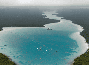 Cola pt. trib izolat: Turist american arestat