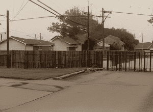 Caz șocant: Câine otrăvit în Meiningen, Germania