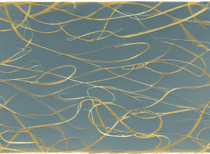 Taliso Engel: Starul paralimpic la Let's Dance