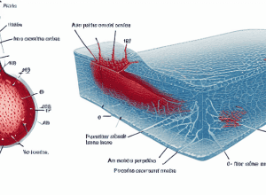 Embolie cu lichid amniotic: O complicație rară în timpul nașterii