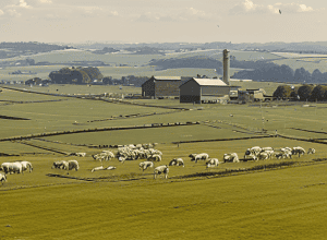 Arla absoarbe DMK - Așa ar trebui să se nască cel mai mare gigant lactat din Europa