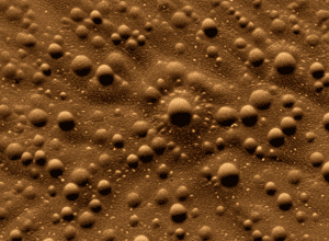 Primul caz de variola maimuței în Saxonia Inferioară după infectarea cu o nouă variantă virală în Africa