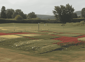 Berlin: Loc de joacă îngrădit cu stâlpi pentru protejarea insectelor!