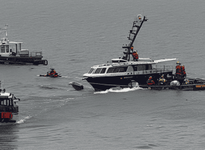 Accident elicopter New York: Stolnicirea unei gâște a rupt rotorul?