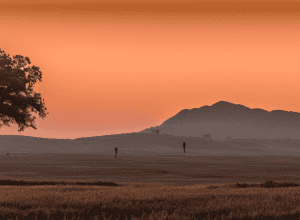 Sarah Connor lansează o piesă despre ura online