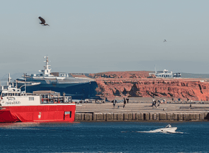Nouă legătură cu feribotul – Cum ajungi într-o excursie de o zi la Helgoland