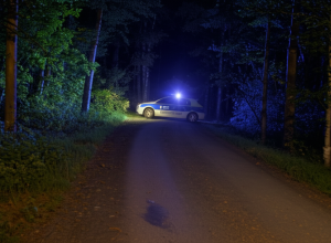 Rastatt - Adolescentă atacă polițiști