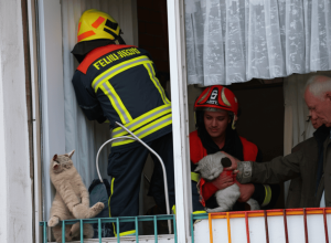 Pompierii Salvează Pisică Blocată în Osterburken