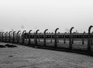 80 de ani de la eliberarea KZ Bergen-Belsen – «Mai întâi m-a lovit mirosul acela oribil»
