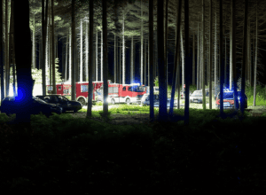 Erzhausen: Femeie dispare în pădure fără căruciorul copilului