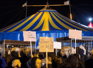 Cruzime față de animale în arenă? - Activiști iau cu asalt premiera circului