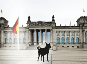 Câini interziși în Bundestag: Acces restricționat