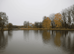 Tragedie în Nürnberg - Copil (4 ani) cade în lacul Wöhrder și moare
