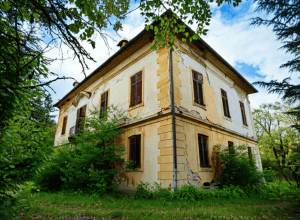 Șobolani, excremente, haos - Proprietatea lui Gene Hackman, complet neglijată