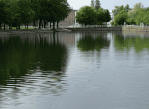 Münster - Pescar dispărut găsit mort în canal