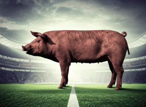 Distincție Scandal în Fotbalul Norvegian: Un Porc Mort Oferit ca Trofeu