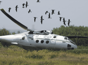 Nu e glumă! Elicopter prăbușit de un pinguin